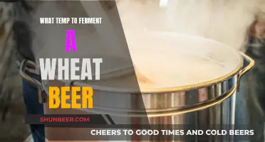 Unlocking the Perfect Fermentation: Wheat Beer's Ideal Temperature Range