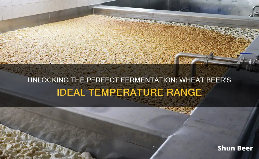 what temp to ferment a wheat beer