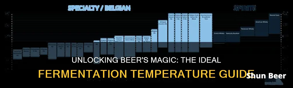 what temperature do i ferment beer at