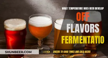 Unlocking the Secrets: Beer's Off-Flavors and Fermentation Temperatures