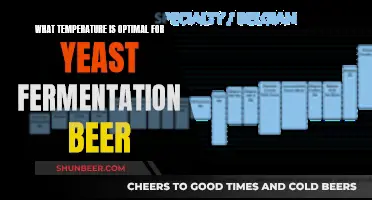 Unlocking Flavor: The Ideal Yeast Fermentation Temperature for Beer