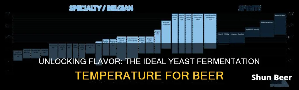 what temperature is optimal for yeast fermentation beer