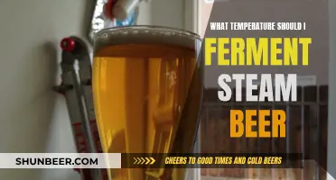 Steam Beer Fermentation: Unlocking the Perfect Temperature Range