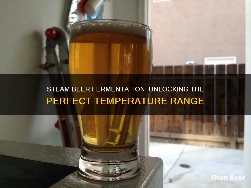 what temperature should i ferment steam beer