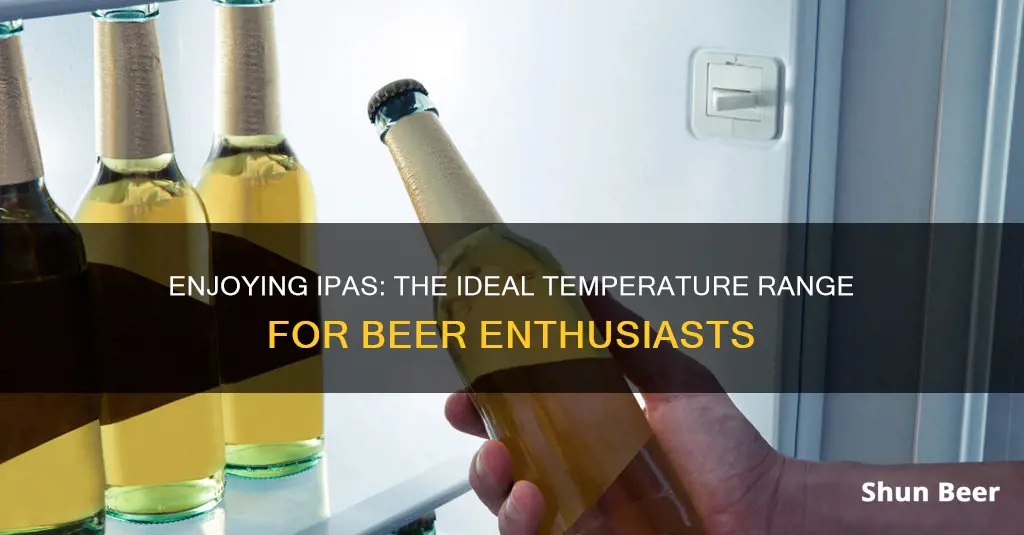 what temperature to enjoy ipa beer advocate