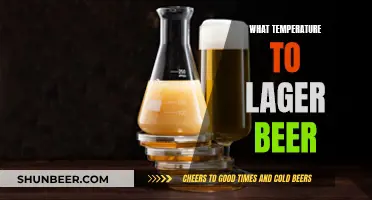 The Ideal Lager Temperature: A Guide to Perfect Beer Serving