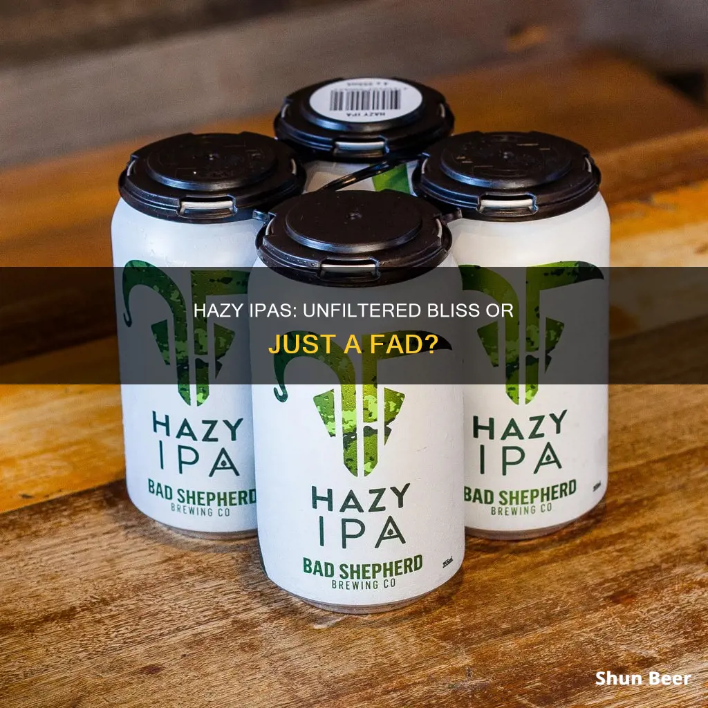 what the difference between a hazy ipa beer