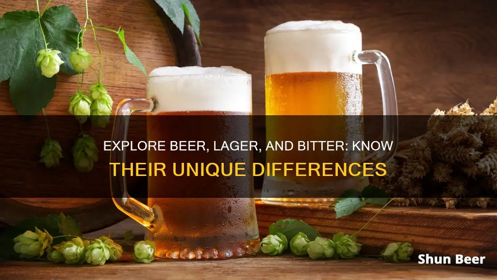 what the difference between beer lager and bitter