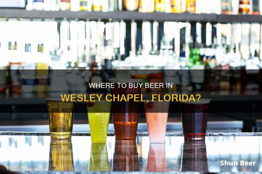 what time can i buy beer in wesley chapel florida