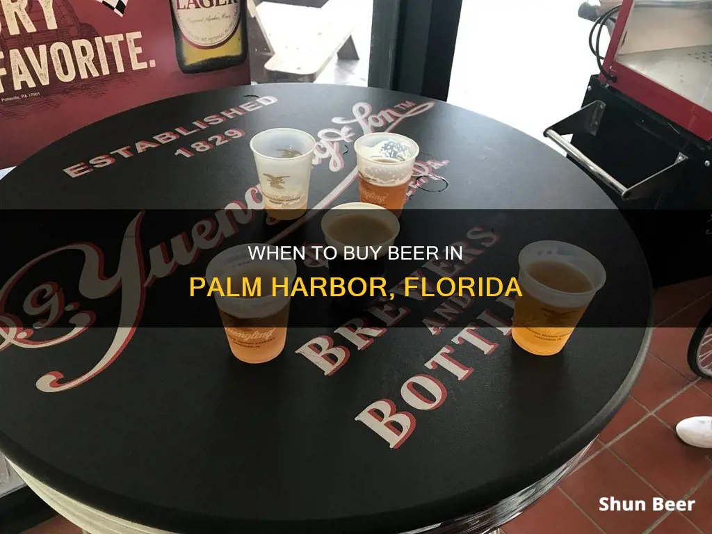 what time can you buy beer in palm harbor fl