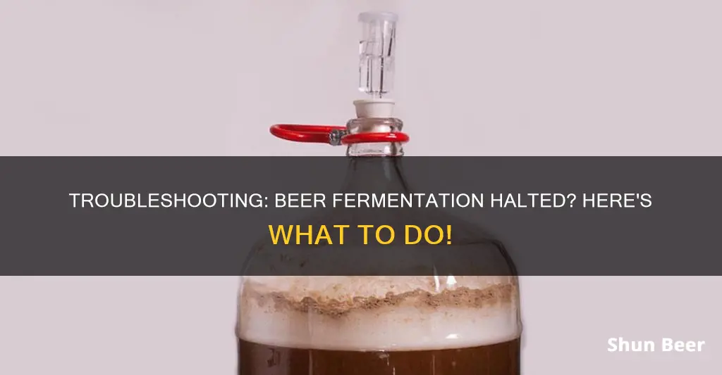 what to do if your beer stops fermenting