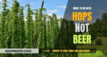 Hoppy Times: Creative Uses for Hops Beyond Brewing