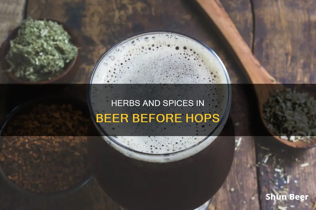 what was in beer before hops