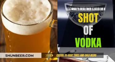 Beer vs Vodka: Which Booze is Better for Your Health?