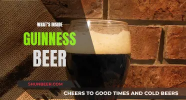 Guinness Beer: Roasted Barley, Hops, Yeast, and More