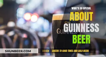 Guinness Beer: A Dark, Creamy, and Unique Irish Icon