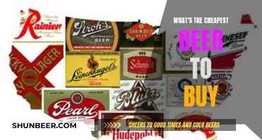 Cheapest Beers: Bargain Brews for the Budget-Conscious