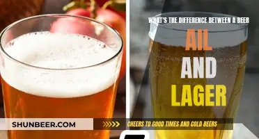 Beer Styles: Ale, Lager, and Their Differences Explained