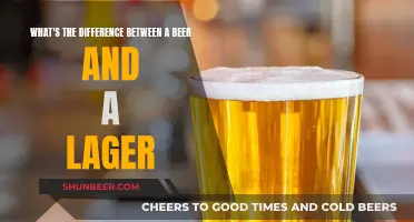 Beer vs Lager: What's the Difference?