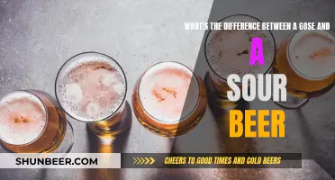 Gose vs. Sour Beer: Understanding the Tart and Tangy