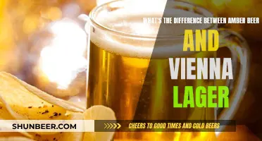 Explore Amber Beer and Vienna Lager: A Comparison