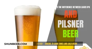 Explore Lager, IPA, and Pilsner Beer Differences