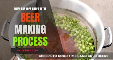 Hops in Beer: Timing is Everything