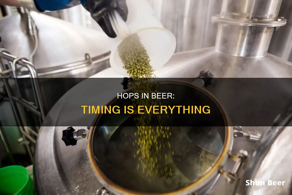 when are hops added in the beer making process