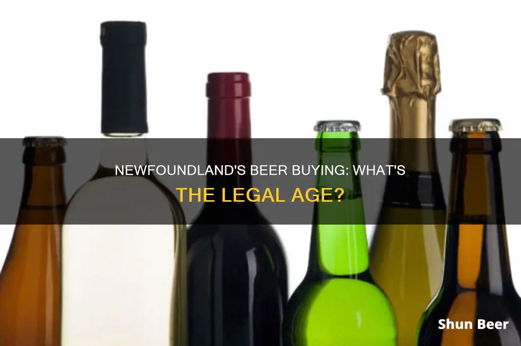 when can you buy beer in newfoundland