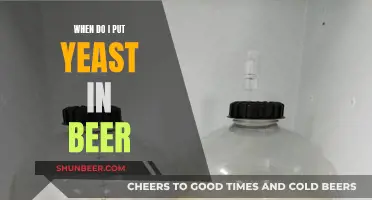 Unlocking Flavor: The Art of Yeast Timing in Beer Brewing