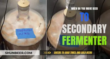 Mastering Beer Fermentation: When to Transfer to the Secondary Fermenter