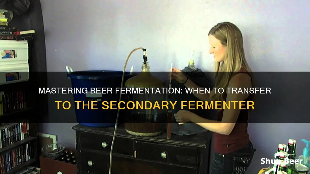 when do you move beer to secondary fermenter