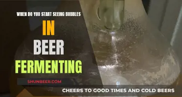 Unveiling the Magic: When Beer's Bubble Show Begins