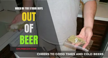 Straining Hops: Timing for the Perfect Beer