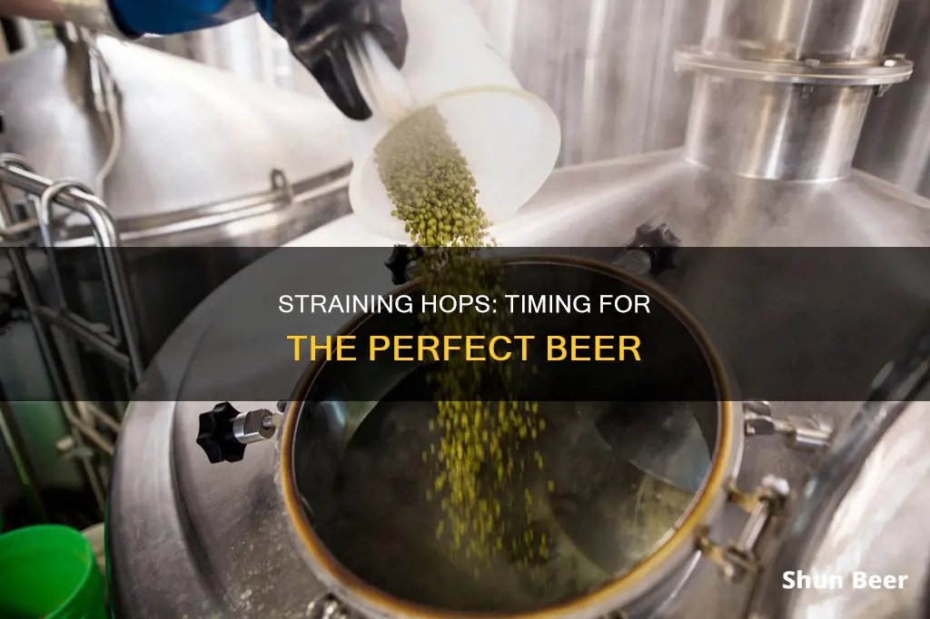 when do you strain hops out of beer