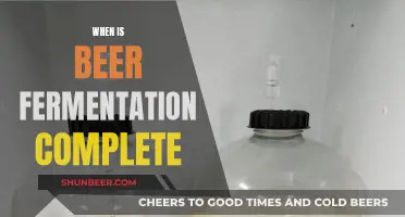 Understanding Beer Fermentation: When Does the Magic End?