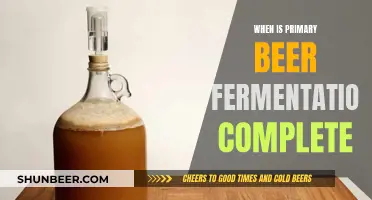 Signs of Primary Fermentation Completion: When to Bottle Your Beer