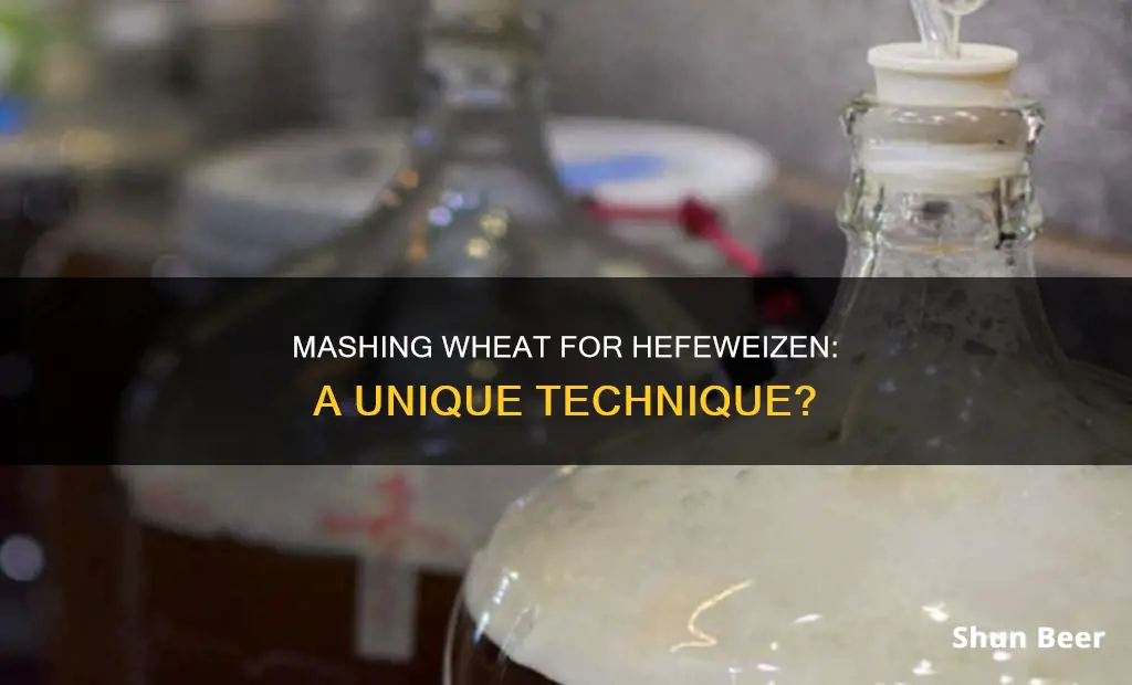 when making a hiefweizen beer does wheat need different mash