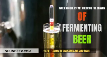 Mastering Beer Fermentation: When to Check Gravity