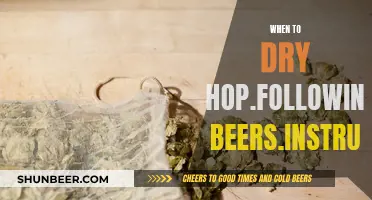 Dry Hopping: The Ultimate Guide for Beer Perfection