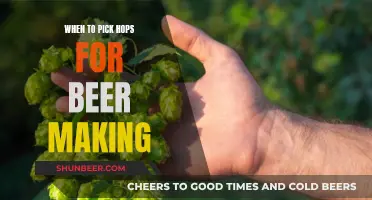 The Best Time to Pick Hops for Beer Making