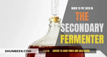 Mastering the Art of Secondary Fermentation: When to Add Beer