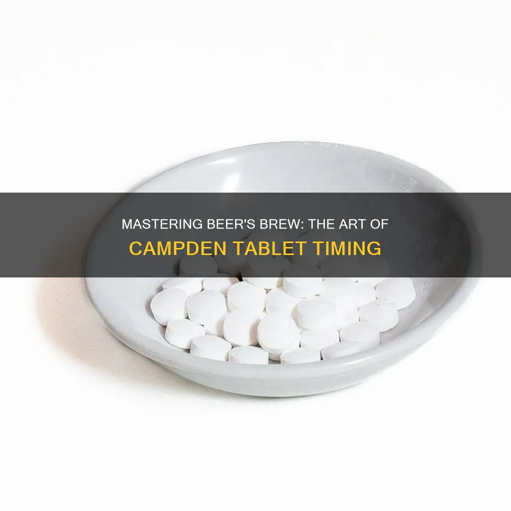 when to put campden tablets in beer