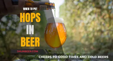 Mastering Beer Flavor: The Art of When to Add Hops