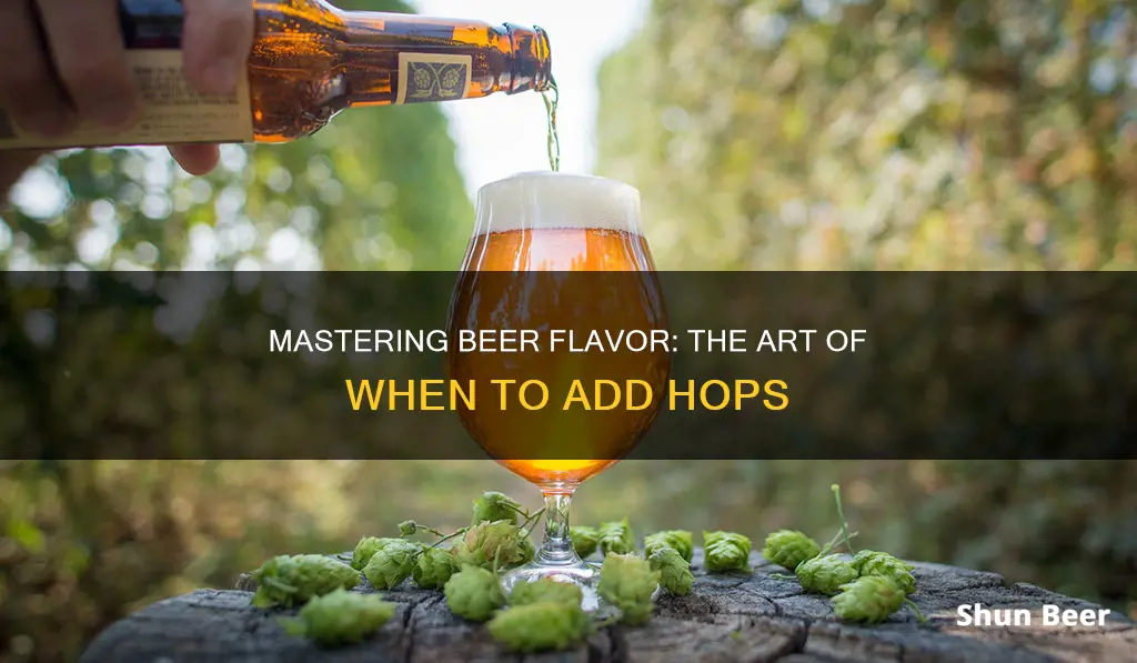 when to put hops in beer