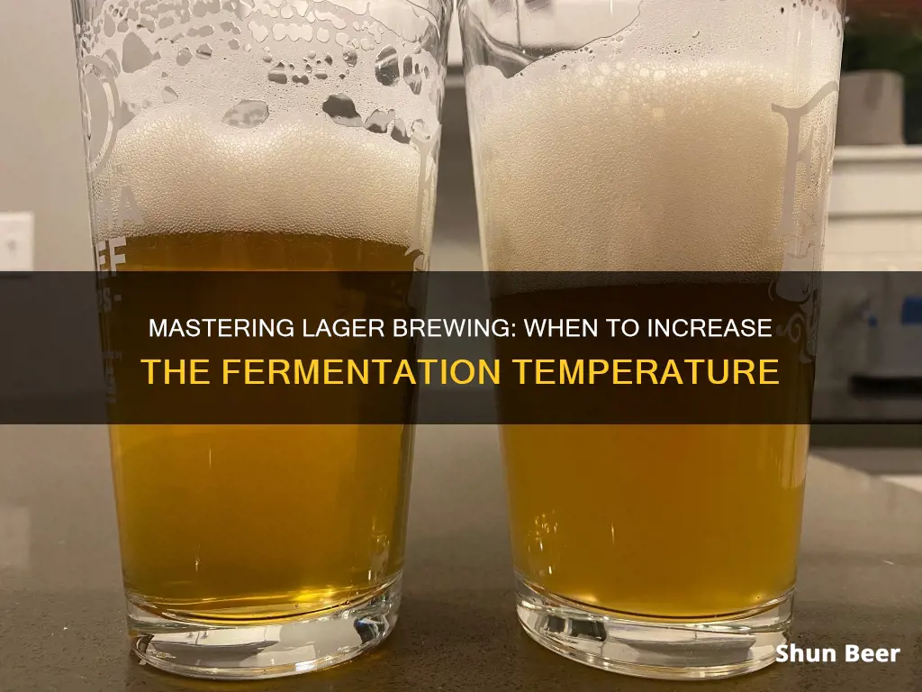 when to raise temperature on lager beer