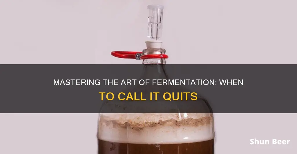 when to stop fermenting beer