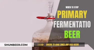 Mastering the Art of Beer: When to End Primary Fermentation