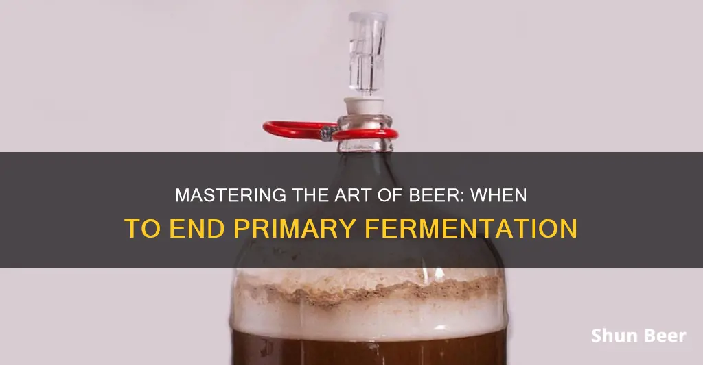 when to stop primary fermentation beer