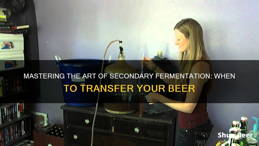 when to transfer to secondary fermenter beer